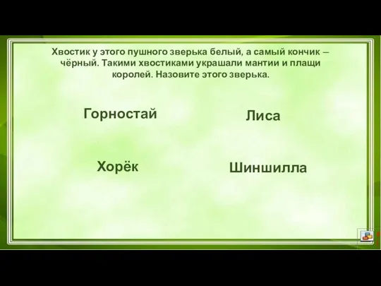 Горностай Шиншилла Лиса Хорёк Хвостик у этого пушного зверька белый, а самый