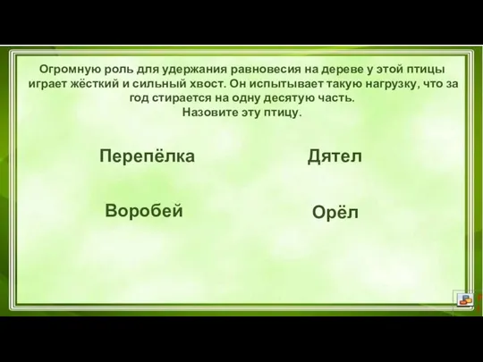 Перепёлка Орёл Дятел Воробей Огромную роль для удержания равновесия на дереве у