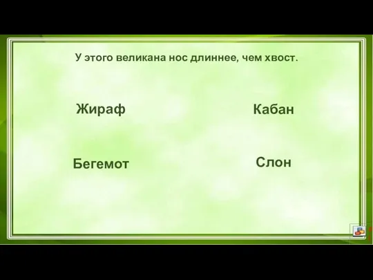 У этого великана нос длиннее, чем хвост. Жираф Бегемот Кабан Слон