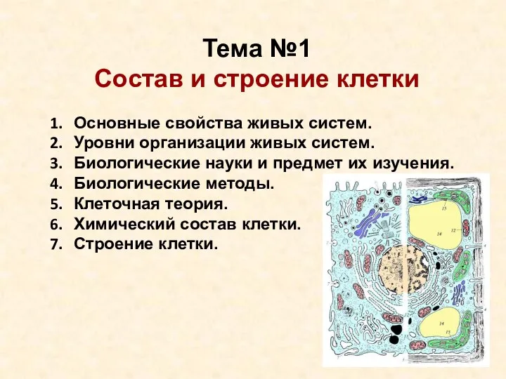 Тема №1 Состав и строение клетки Основные свойства живых систем. Уровни организации