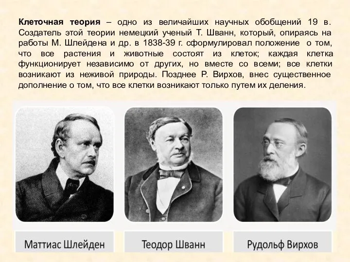 Клеточная теория – одно из величайших научных обобщений 19 в. Создатель этой