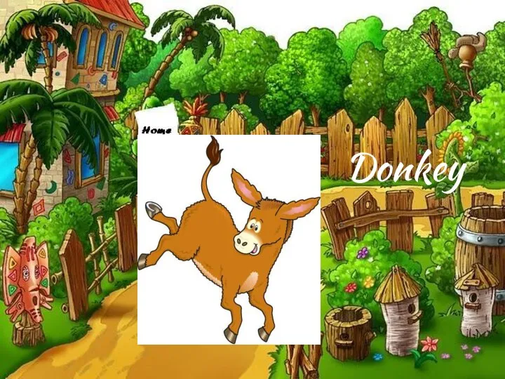 Donkey