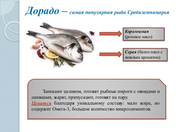 Дорадо – самая популярная рыба Средиземноморья Королевская (розовое мясо) Серая (белое мясо