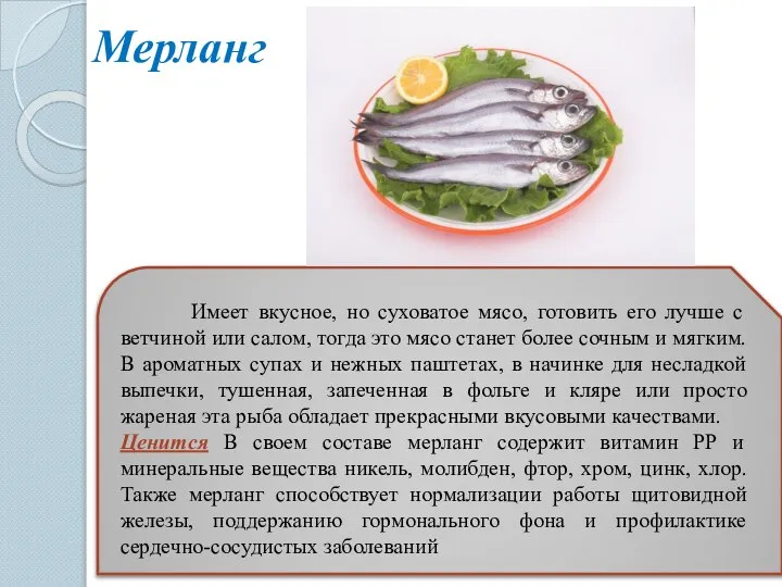 Мерланг Имеет вкусное, но суховатое мясо, готовить его лучше с ветчиной или