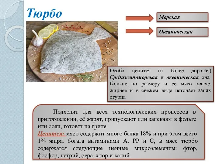 Тюрбо Морская Океаническая Подходит для всех технологических процессов в приготовлении, её жарят,