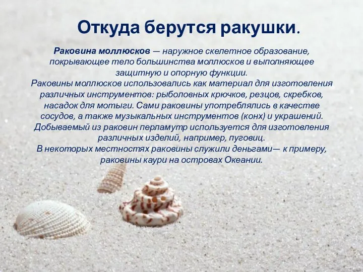 Раковина моллюсков — наружное скелетное образование, покрывающее тело большинства моллюсков и выполняющее