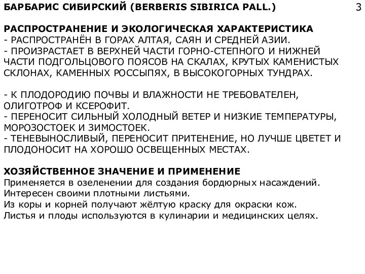 БАРБАРИС СИБИРСКИЙ (BERBERIS SIBIRICA PALL.) РАСПРОСТРАНЕНИЕ И ЭКОЛОГИЧЕСКАЯ ХАРАКТЕРИСТИКА - РАСПРОСТРАНЁН В