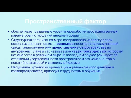 Пространственный фактор обеспечивает различные уровни переработки пространственных параметров и отношений внешней среды