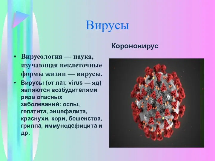 Вирусы Короновирус Вирусология — наука, изучающая неклеточные формы жизни — вирусы. Вирусы
