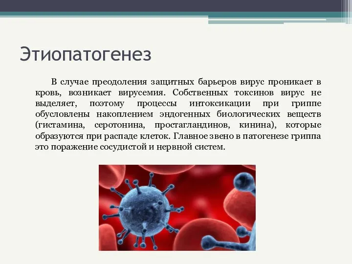 Этиопатогенез В случае преодоления защитных барьеров вирус проникает в кровь, возникает вирусемия.
