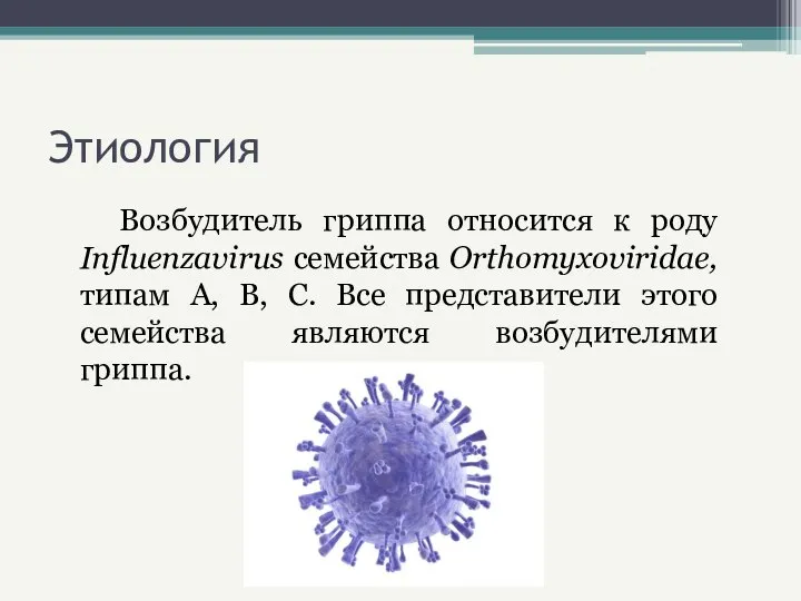 Этиология Возбудитель гриппа относится к роду Influenzavirus семейства Orthomyxoviridae, типам А, В,