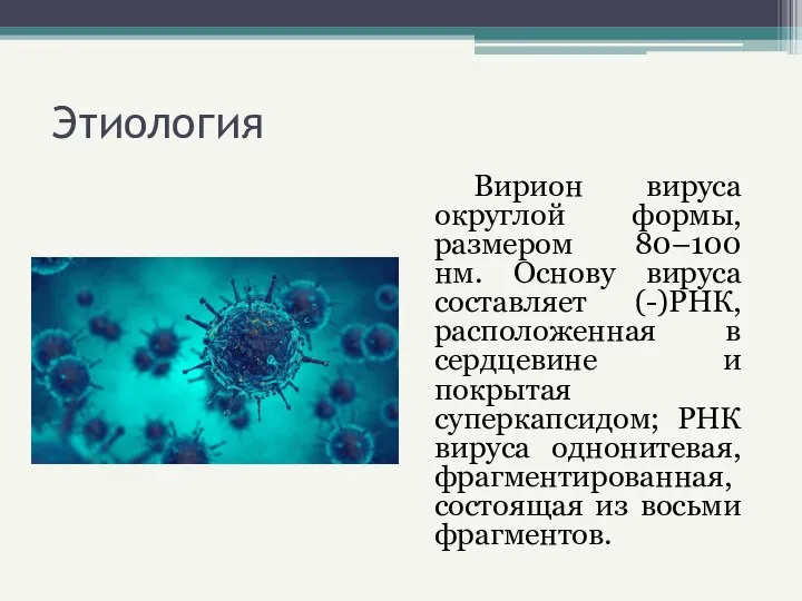 Этиология Вирион вируса округлой формы, размером 80–100 нм. Основу вируса составляет (-)РНК,