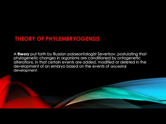 THEORY OF PHYLEMBRYOGENSIS A theory put forth by Russian palaeontologist Severtsov, postulating