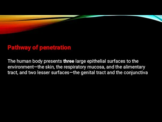 Pathway of penetration The human body presents three large epithelial surfaces to