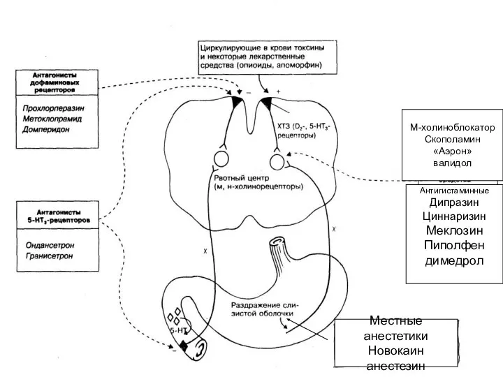 Местные анестетики Новокаин анестезин М-холиноблокатор Скополамин «Аэрон» валидол Антигистаминные Дипразин Циннаризин Меклозин Пиполфен димедрол