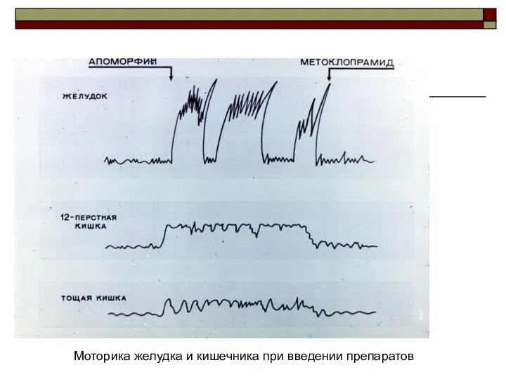 Моторика желудка и кишечника при введении препаратов