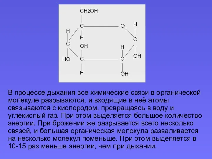 В процессе дыхания все химические связи в органической молекуле разрываются, и входящие