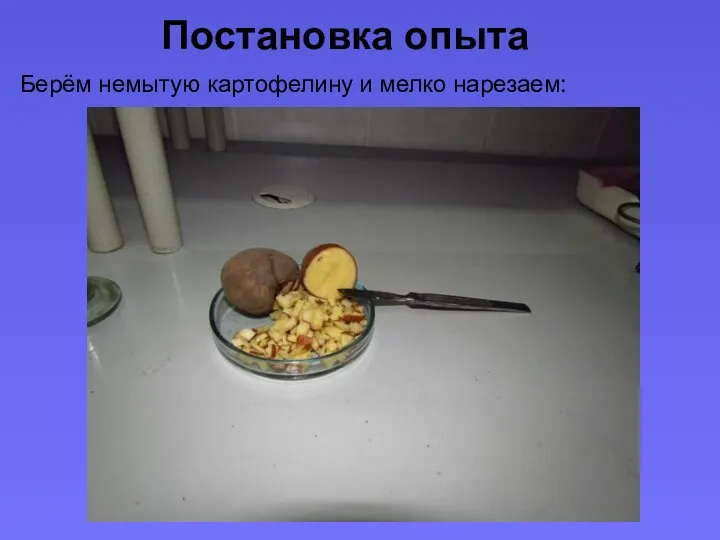 Постановка опыта Берём немытую картофелину и мелко нарезаем: