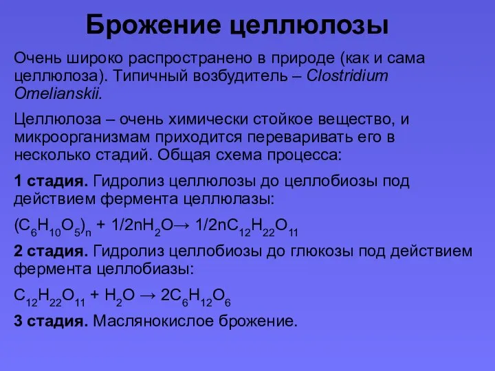 Брожение целлюлозы Очень широко распространено в природе (как и сама целлюлоза). Типичный