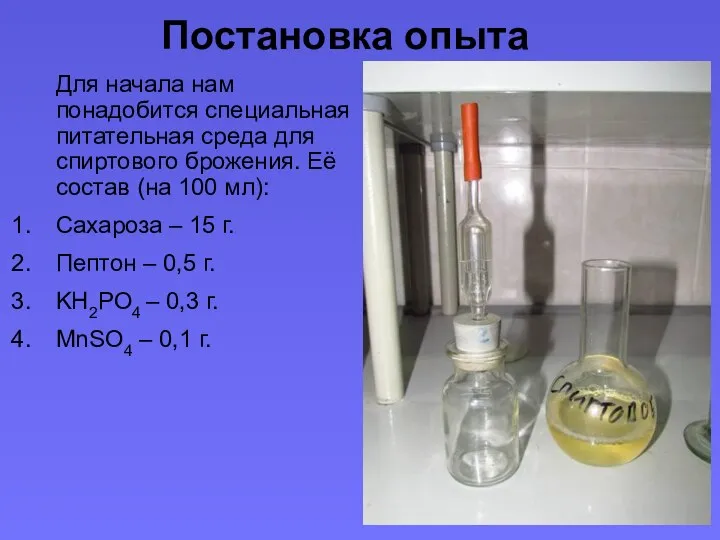 Постановка опыта Для начала нам понадобится специальная питательная среда для спиртового брожения.