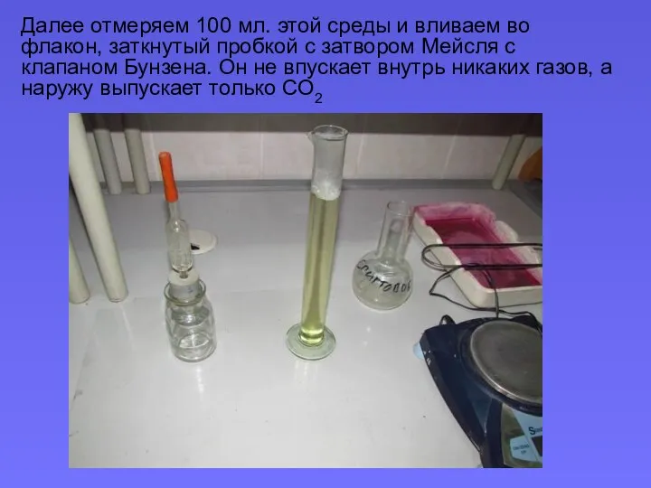 Далее отмеряем 100 мл. этой среды и вливаем во флакон, заткнутый пробкой