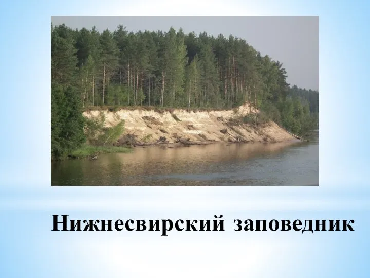 Нижнесвирский заповедник