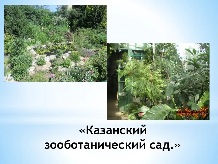 «Казанский зооботанический сад.»
