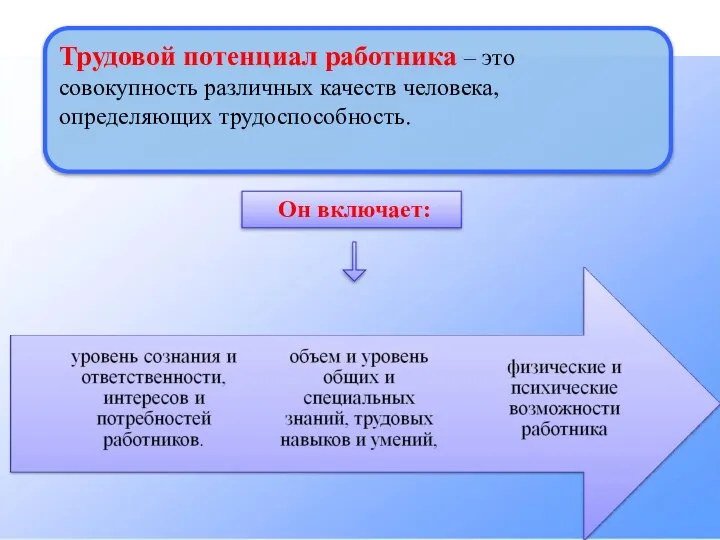 Трудовой потенциал работника – это совокупность различных качеств человека, определяющих трудоспособность. Он включает: