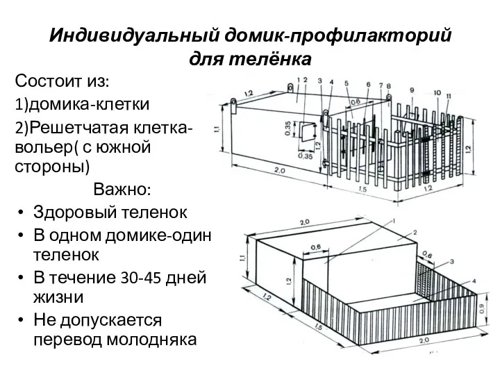 Индивидуальный домик-профилакторий для телёнка Состоит из: 1)домика-клетки 2)Решетчатая клетка-вольер( с южной стороны)