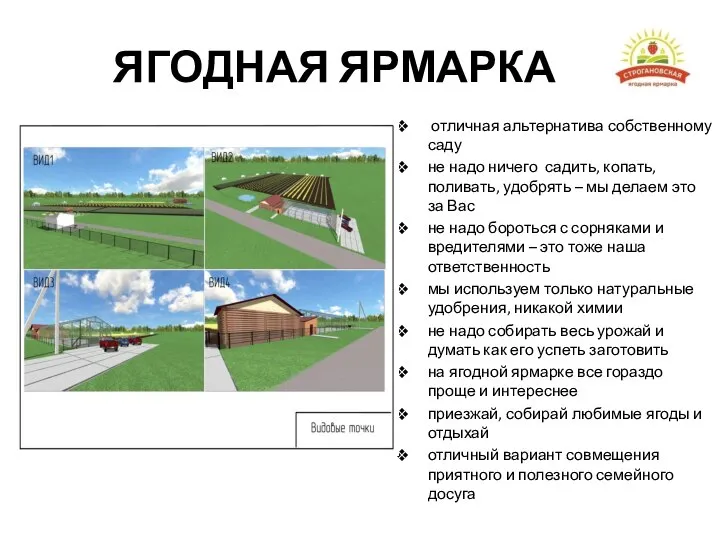 ЯГОДНАЯ ЯРМАРКА отличная альтернатива собственному саду не надо ничего садить, копать, поливать,