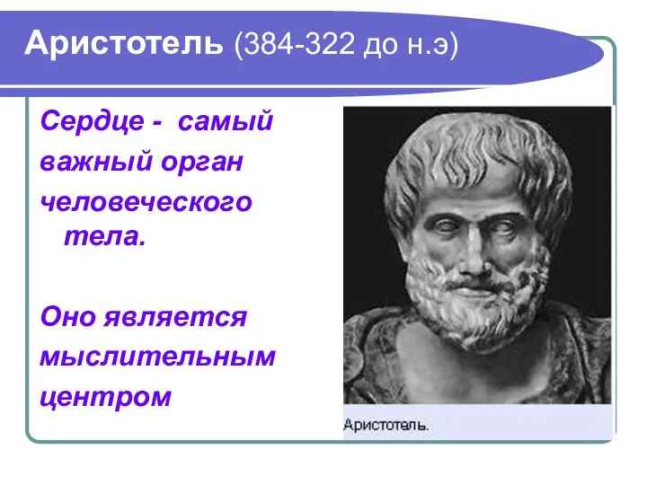 Аристотель (384-322 до н.э) Сердце - самый важный орган человеческого тела. Оно является мыслительным центром