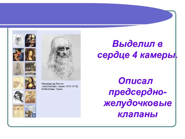 Леонардо да Винчи (1452-1519) Выделил в сердце 4 камеры. Описал предсердно-желудочковые клапаны