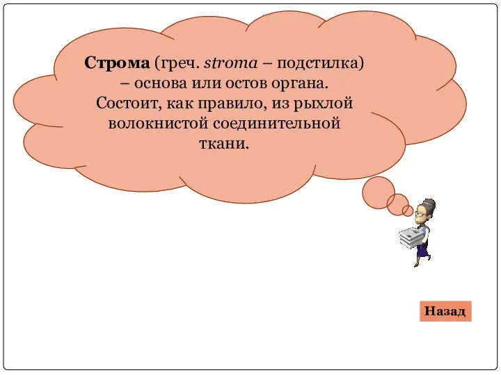 Строма (греч. stroma – подстилка) – основа или остов органа. Состоит, как