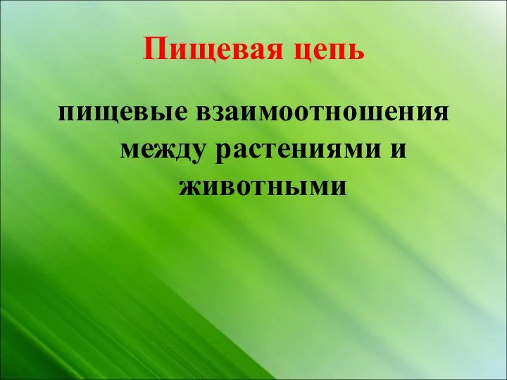 Пищевая цепь пищевые взаимоотношения между растениями и животными