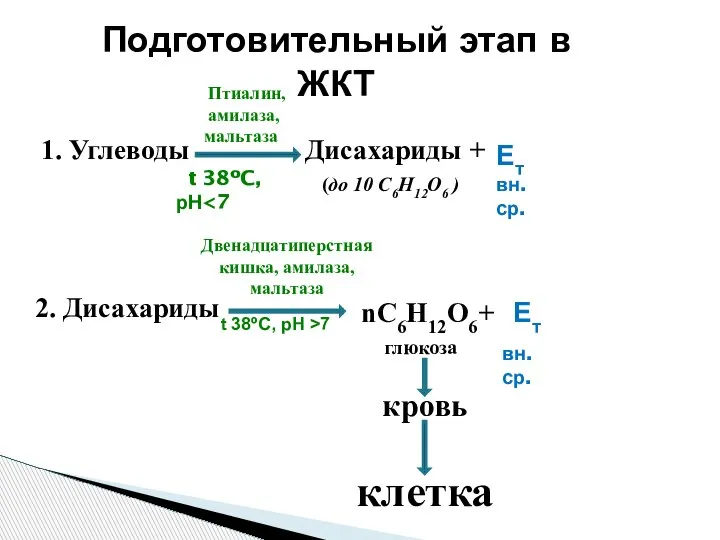 Птиалин, амилаза, мальтаза t 38ºC, рН Двенадцатиперстная кишка, амилаза, мальтаза кровь клетка