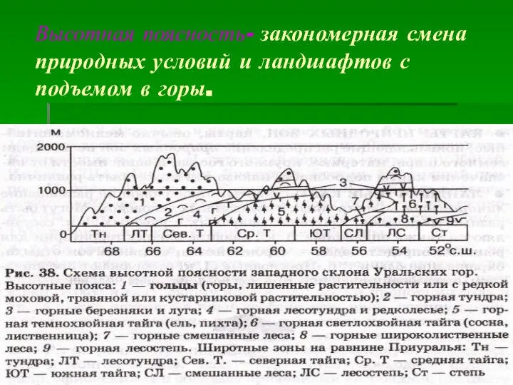 Высотная поясность- закономерная смена природных условий и ландшафтов с подъемом в горы.