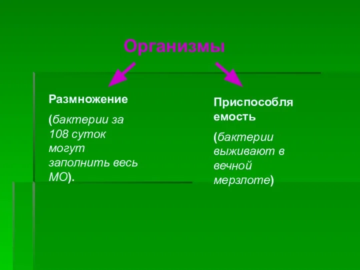 Организмы Размножение (бактерии за 108 суток могут заполнить весь МО). Приспособляемость (бактерии выживают в вечной мерзлоте)