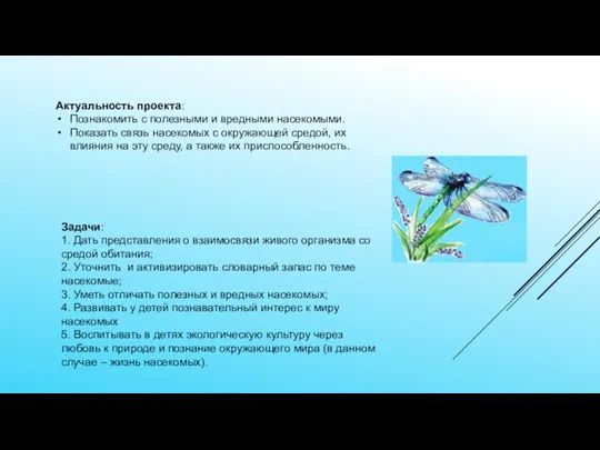 Задачи: 1. Дать представления о взаимосвязи живого организма со средой обитания; 2.