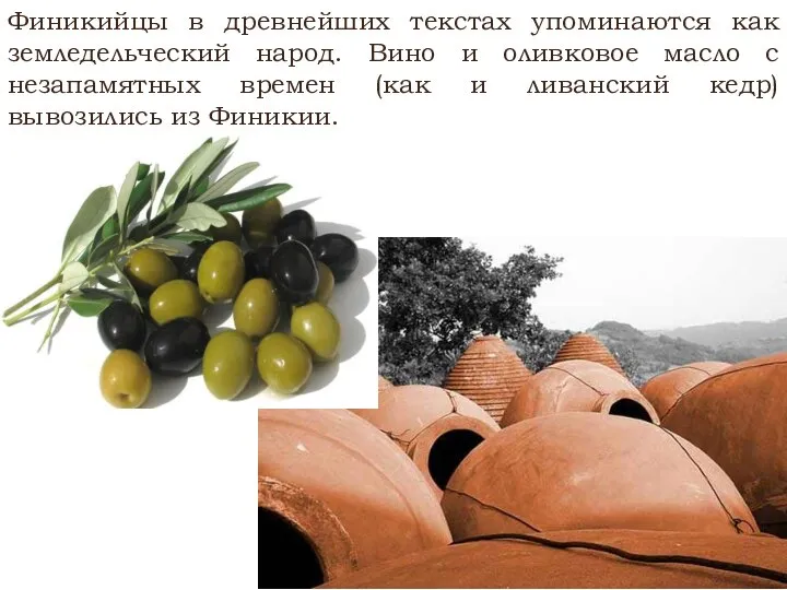 Финикийцы в древнейших текстах упоминаются как земледельческий народ. Вино и оливковое масло