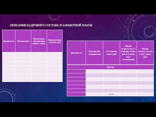 ОПИСАНИЕ КАДРОВОГО СОСТАВА И ЗАРАБОТНОЙ ПЛАТЫ