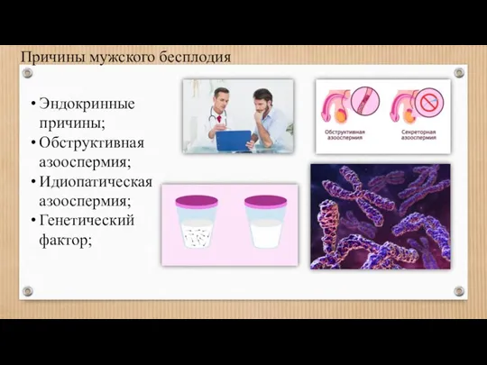 Эндокринные причины; Обструктивная азооспермия; Идиопатическая азооспермия; Генетический фактор; Причины мужского бесплодия