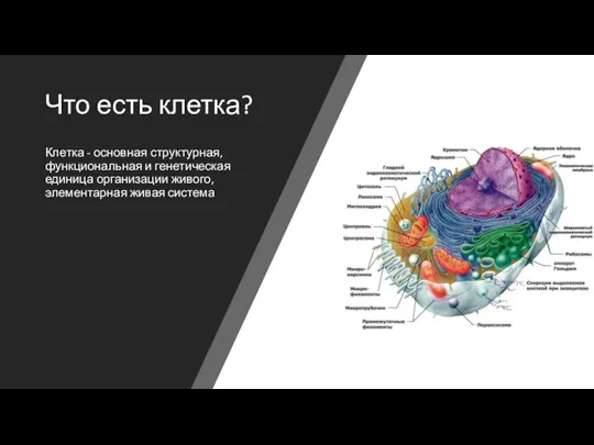 Что есть клетка? Клетка - основная структурная, функциональная и генетическая единица организации живого, элементарная живая система