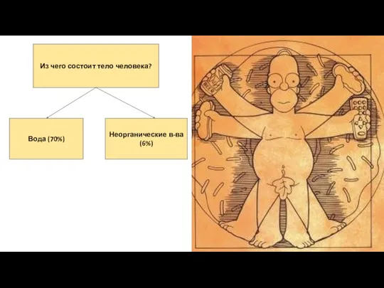 Из чего состоит тело человека? Неорганические в-ва (6%) Вода (70%)