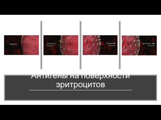 Антигены на поверхности эритроцитов