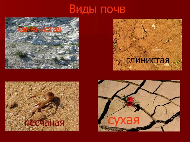 Виды почв каменистая песчаная глинистая сухая