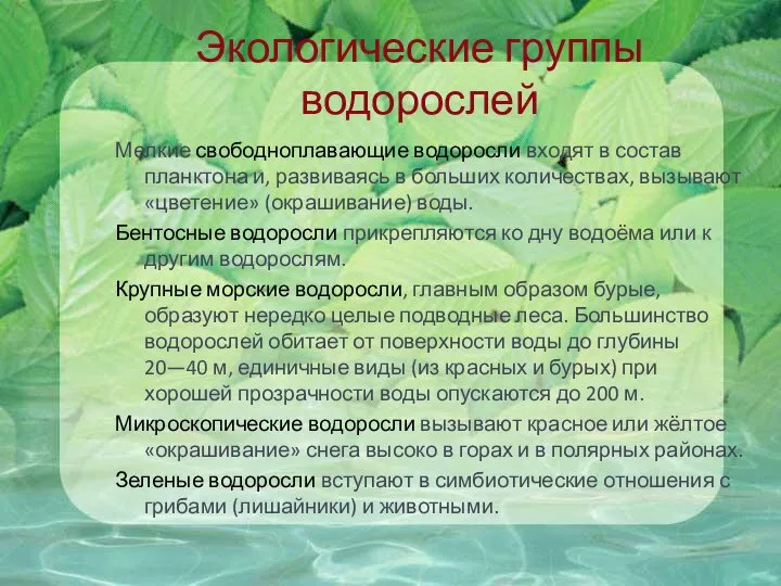 Экологические группы водорослей Мелкие свободноплавающие водоросли входят в состав планктона и, развиваясь