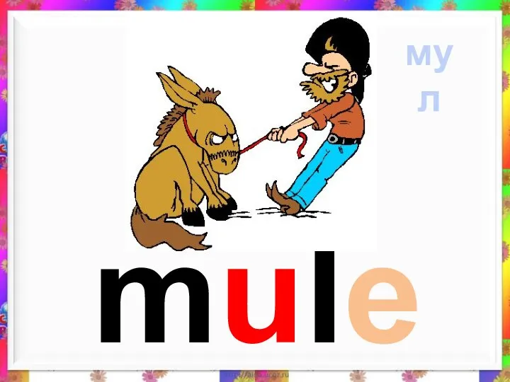 mule мул