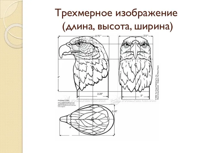 Трехмерное изображение (длина, высота, ширина)