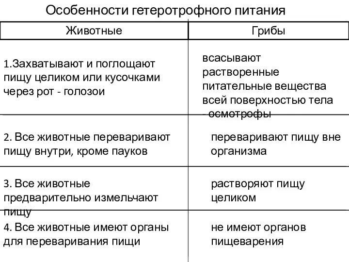 Особенности гетеротрофного питания 1.Захватывают и поглощают пищу целиком или кусочками через рот