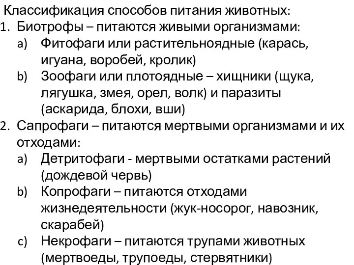 Классификация способов питания животных: Биотрофы – питаются живыми организмами: Фитофаги или растительноядные